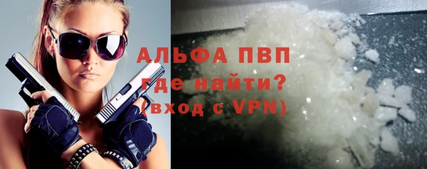 прущие грибы Протвино