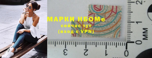 прущие грибы Протвино