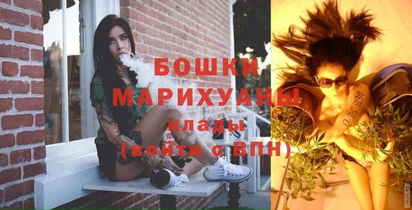 прущие грибы Протвино
