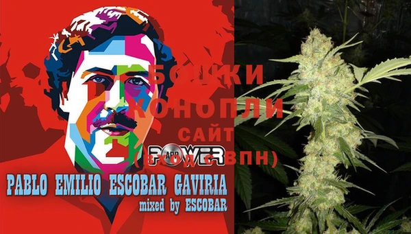 прущие грибы Протвино