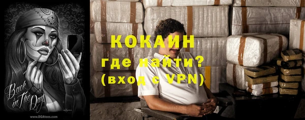 прущие грибы Протвино
