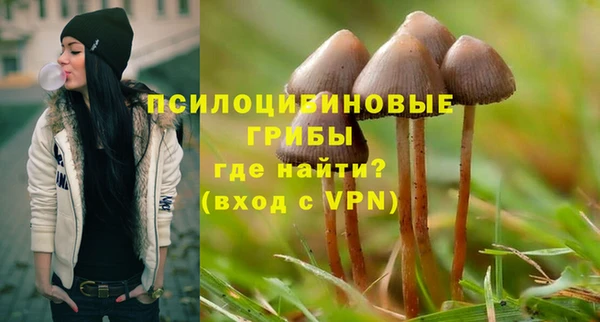 бутират Пролетарск
