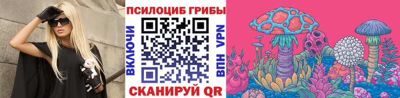блэк спрут ТОР  Щёлково  Псилоцибиновые грибы MAGIC MUSHROOMS 